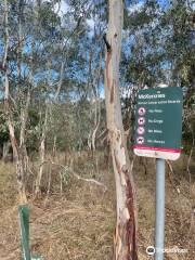 McKenzie Flora Reserve