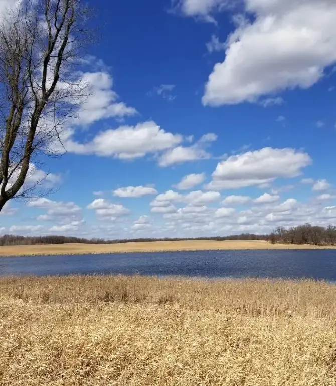 Credit River Township