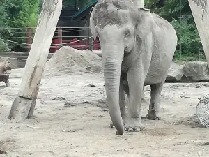 Allwetterzoo Munster