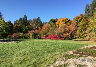 John A. Finch Arboretum