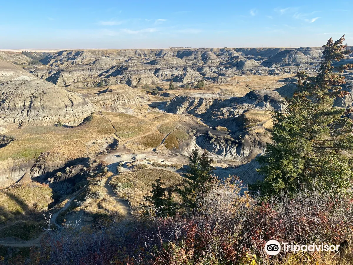 Horseshoe Canyon