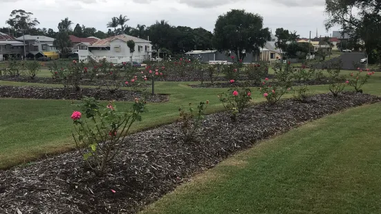 Elizabeth Park Rose Garden