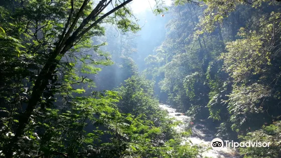 Forest Park Conservation Area Tahura Ir. H. Juanda