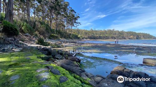 Tessellated Pavement