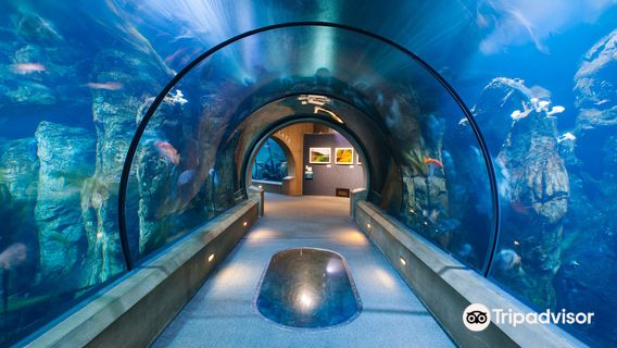 Oregon Coast Aquarium