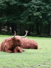 Wald- und Wildpark Rolandseck