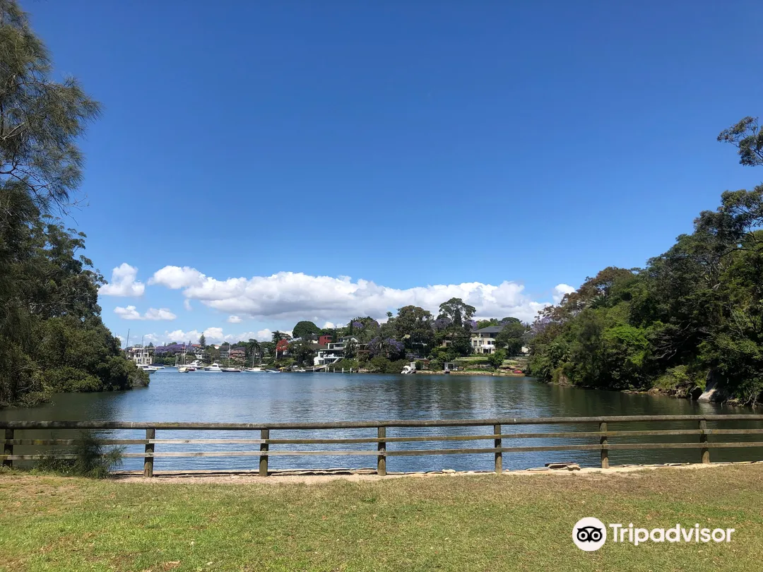2_Gore Creek Reserve and Lane Cove Bushland Park Walk