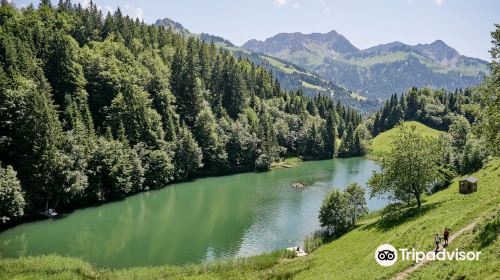 Biospharenpark Grosses Walsertal