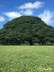 Moanalua Gardens