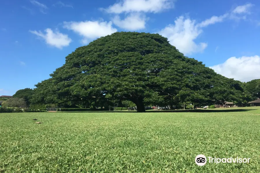 茂納魯亞花園