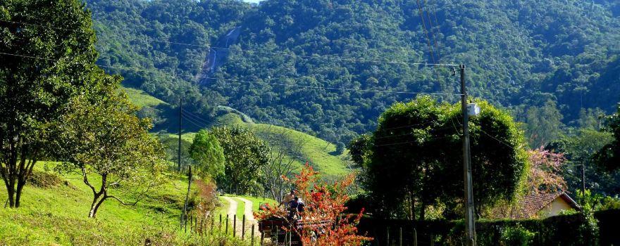 Vale do Alcantilado