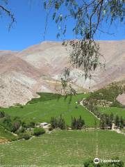 Ecoturismo La Serena