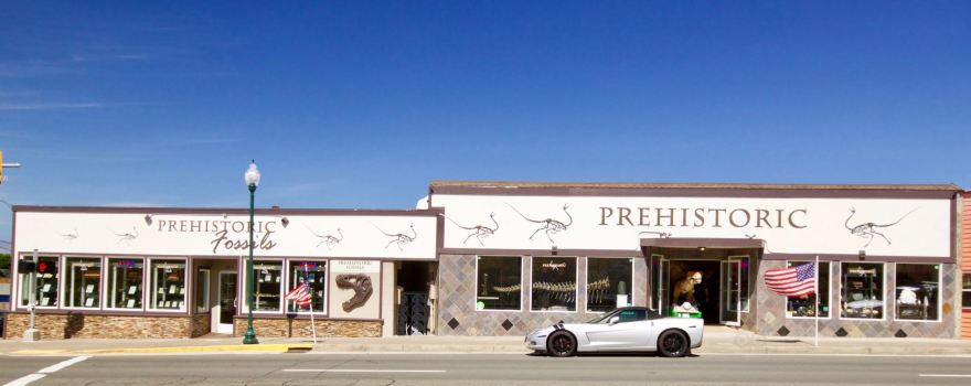 Prehistoric Rocks Fossils Minerals