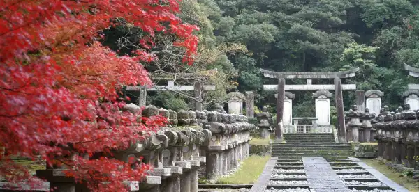 Hotels in Hagi
