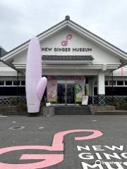Iwashita New Ginger Museum
