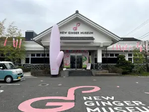 Iwashita New Ginger Museum