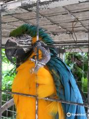 瑞慶覽養雞場 小小動物園