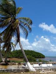 Costa De Cocos