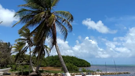 Costa De Cocos