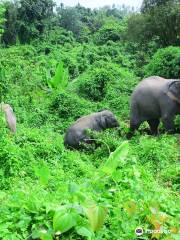 Elephant Retirement Park Office