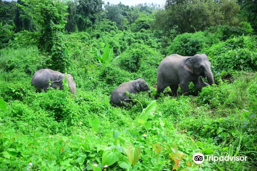 Elephant Retirement Park Office