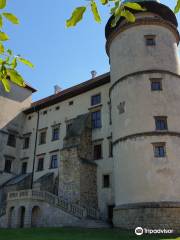 Castle in Wiśnicz