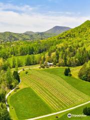 Tiger Mountain Vineyards