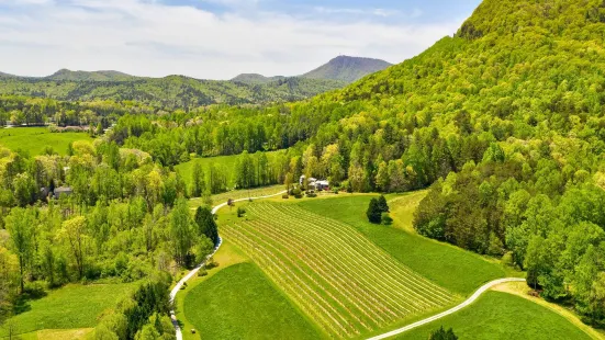 Tiger Mountain Vineyards