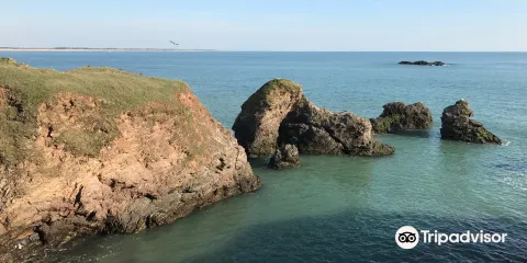 La Corniche vendeenne