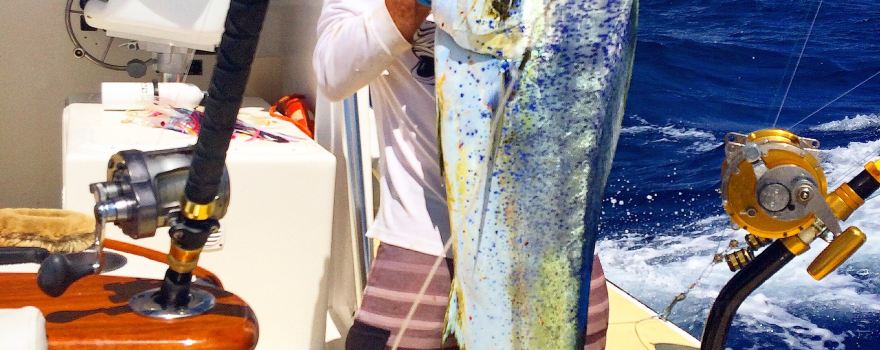 Flyer Sportfishing