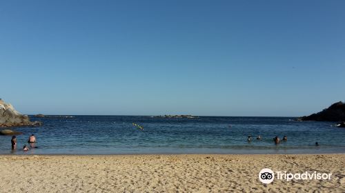 Playa Arrocito