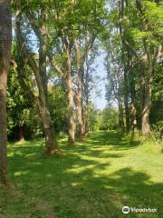 National Trust - Whipsnade Tree Cathedral