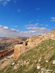 Castillo de Karak