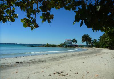 Playa Larga