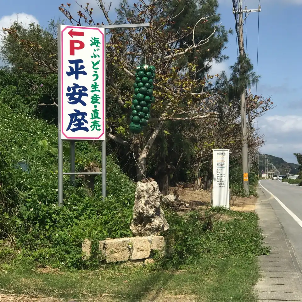 5_Umi-Budou henza Farm