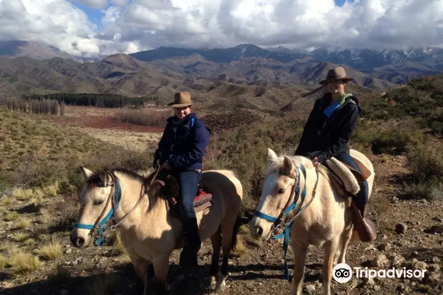 Cabalgatas Relincho