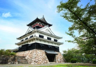 Kawanoejyo Castle