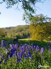 Newlands Corner