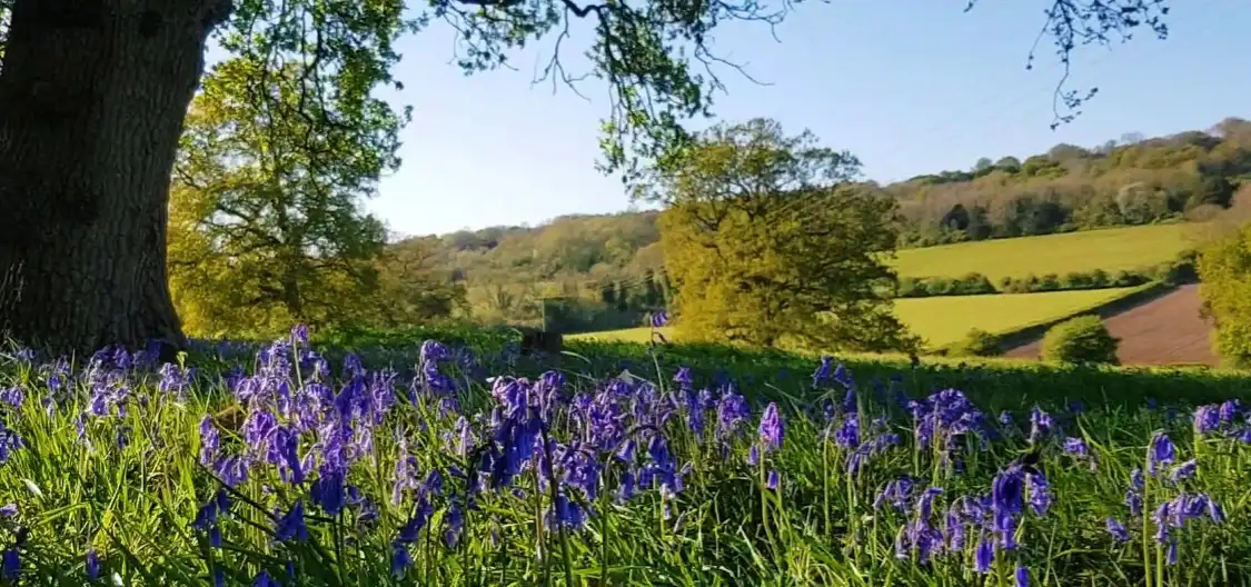 Hotels near Newlands Corner