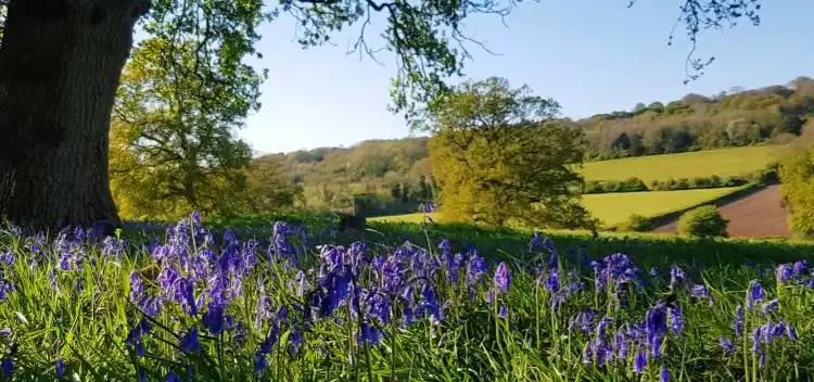 Hotels near Newlands Corner