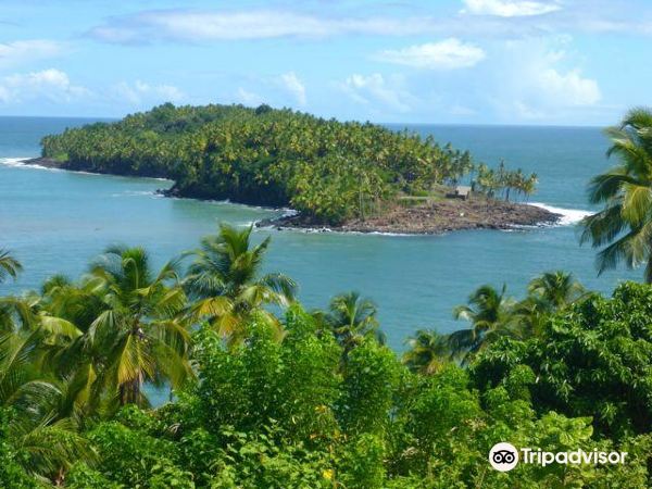 巴黎往開雲的機票
