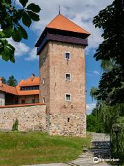 Замок Дубовац