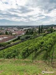 Castle of Conegliano