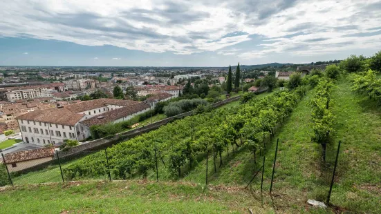 Castle of Conegliano