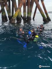 Escuela de Buceo Spondylus