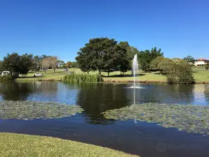 Lake Alford