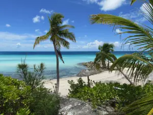 Rainbow Bay Beach