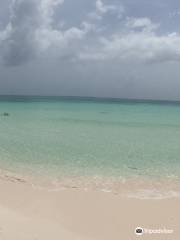 Great Guana Cay