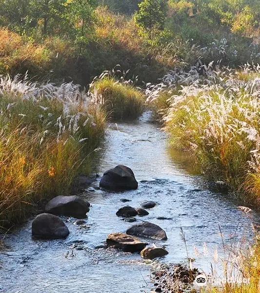 Kanha National Park