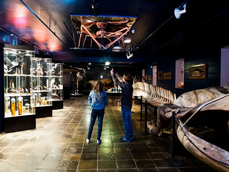 Hotels near Norwegian Children's Museum